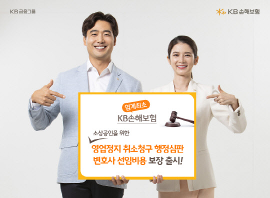 KB손해보험 제공